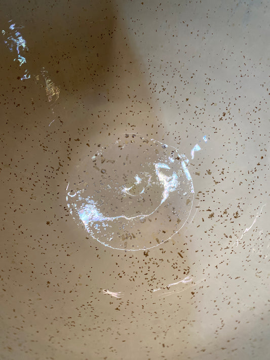 Denim and Gold Micro Pearl Bowl