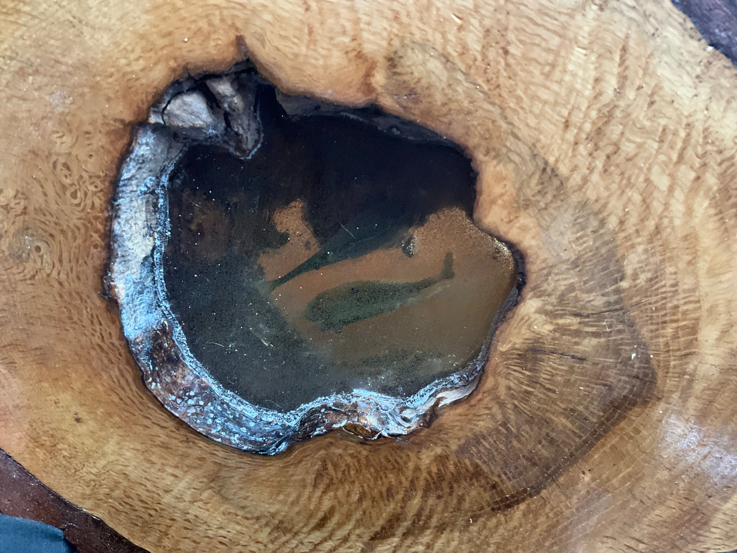 Fish In Wood Slab