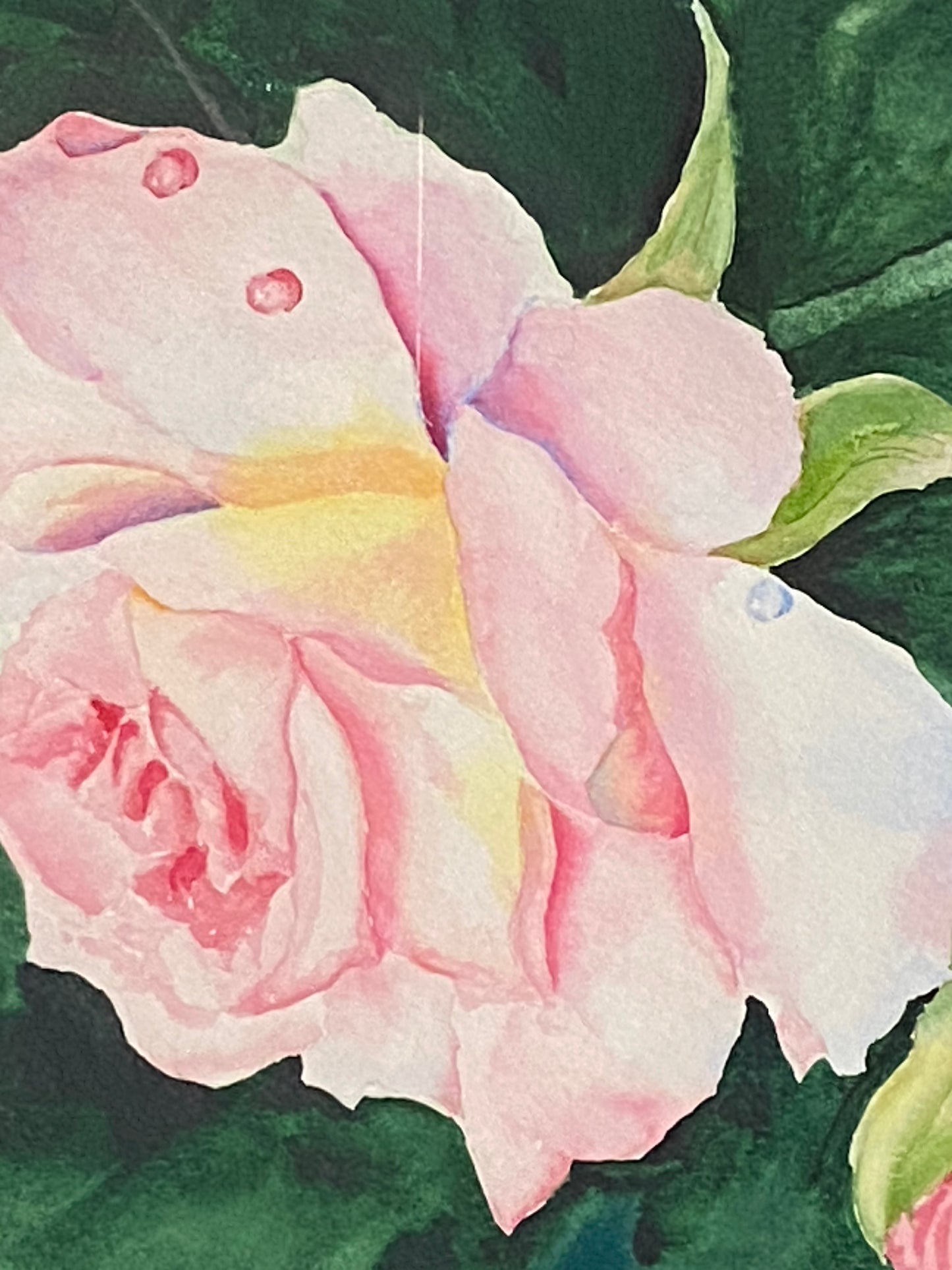 Watercolor Collection