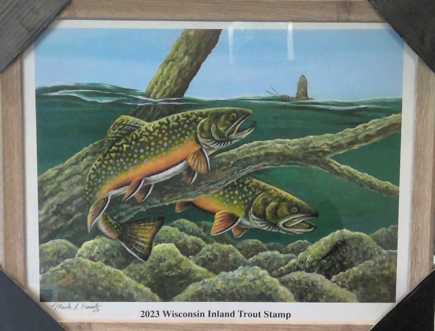 2023 Wisconsin Inland Trout Stamp Framed Print