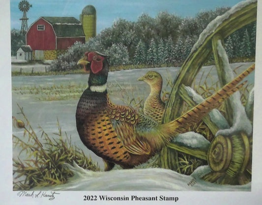 2022 Wisconsin Pheasant Stamp Framed Print