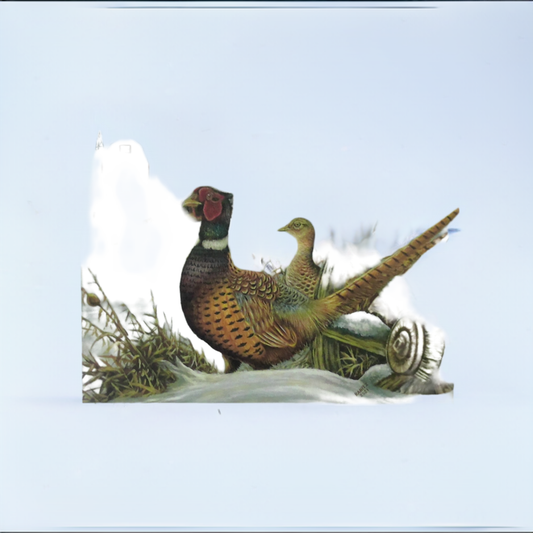 2022 Wisconsin Pheasant Stamp Framed Print