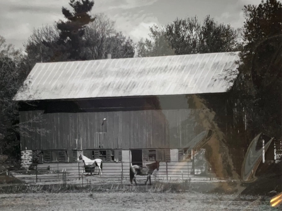 Red Barn with Horses Print